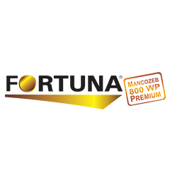 Fortuna 800 WP 